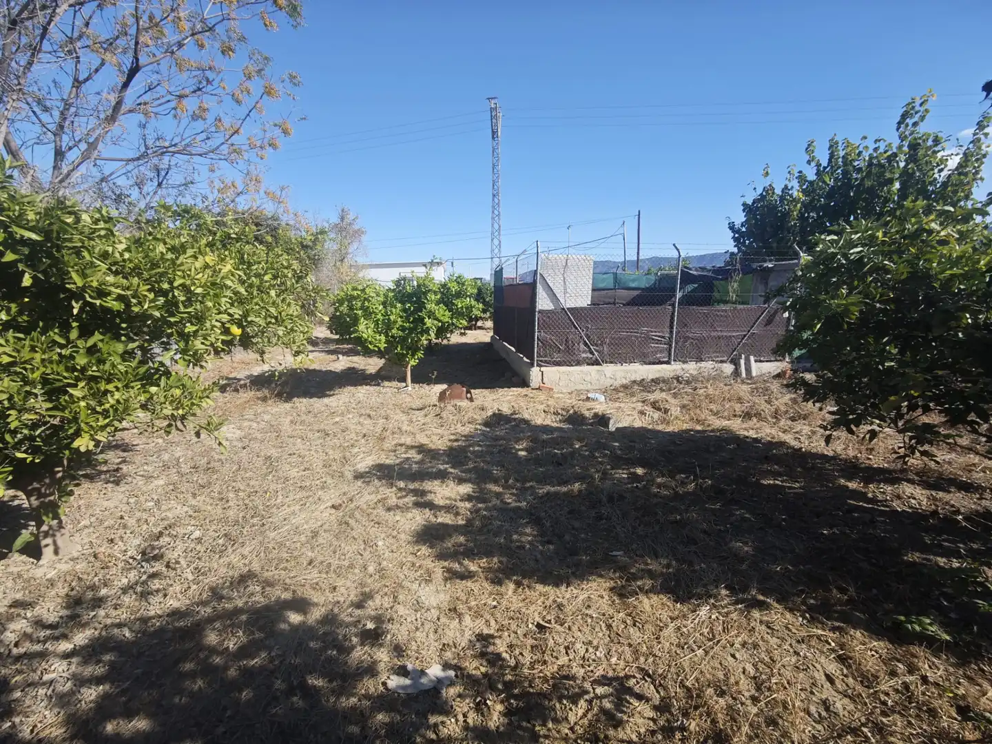 Land for sale in Murcia