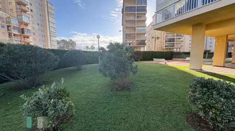 Foto 2 de Apartamento de alquiler en Avenida Rafael Balaguer, La Curva, Benicasim / Benicàssim