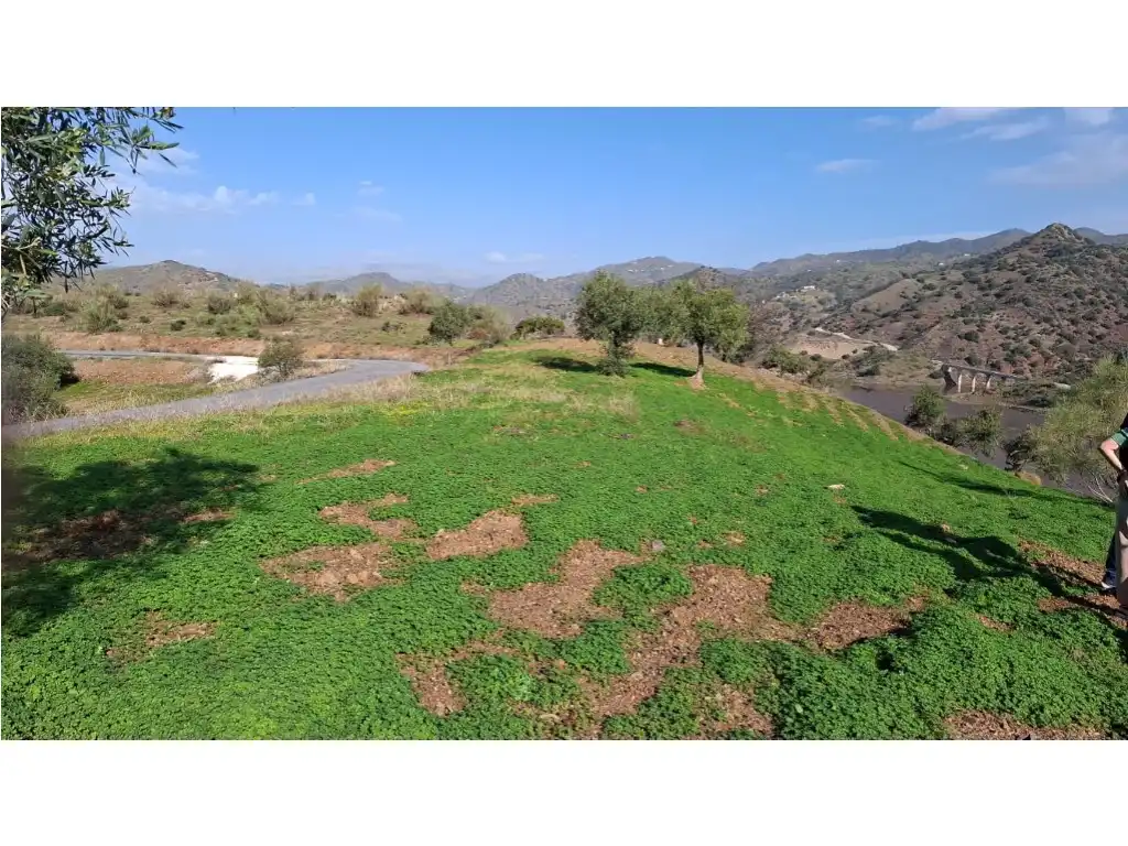 Terrenos y solares en venta en Almogía, imagen 32