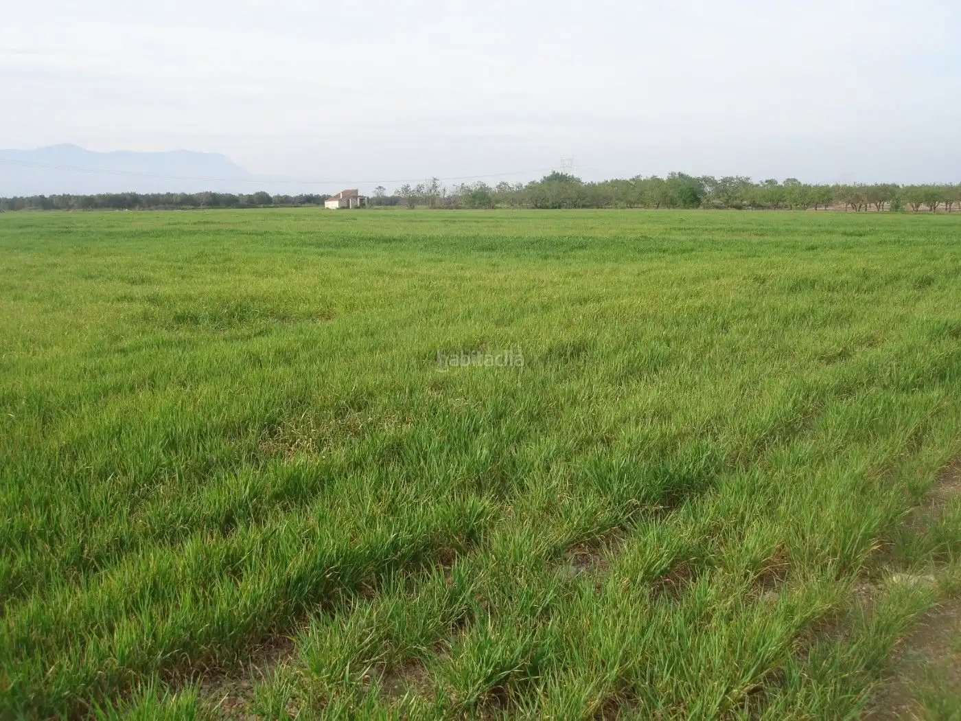 Rural land for sale in Godall, imagen 7