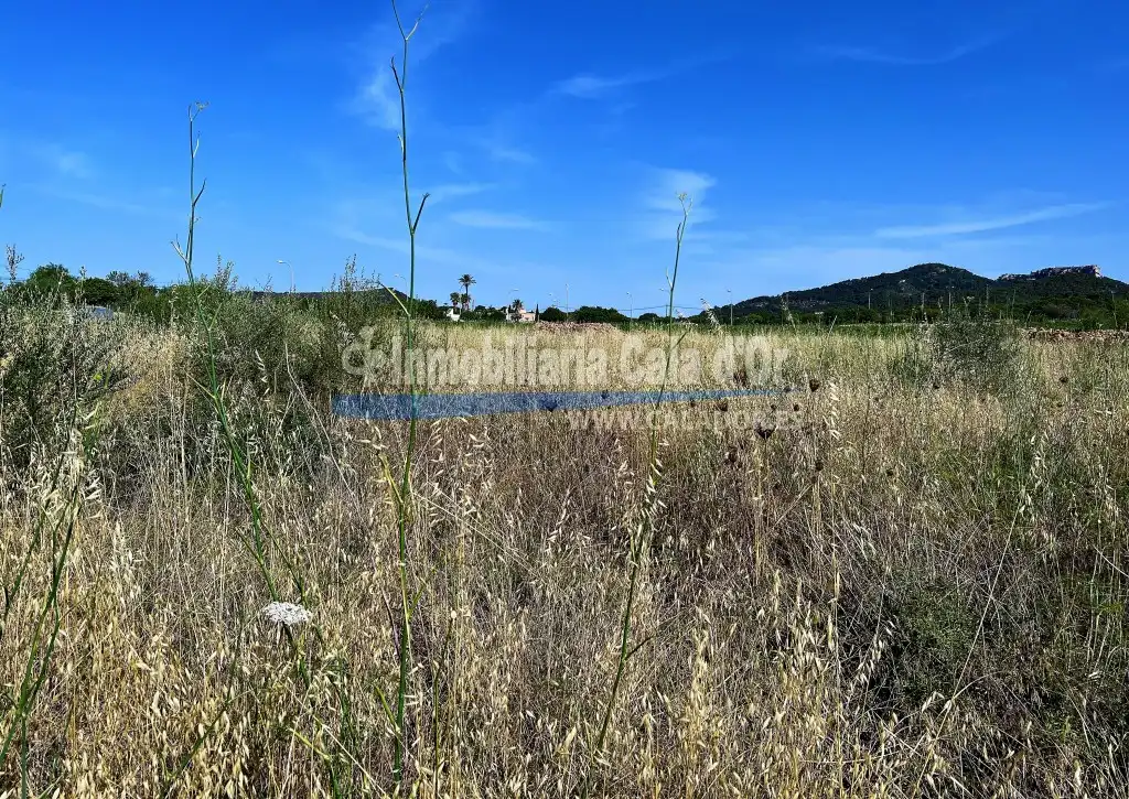 Terreny rústic en venda a S'Alquería Blanca - Calonge, imagen 6