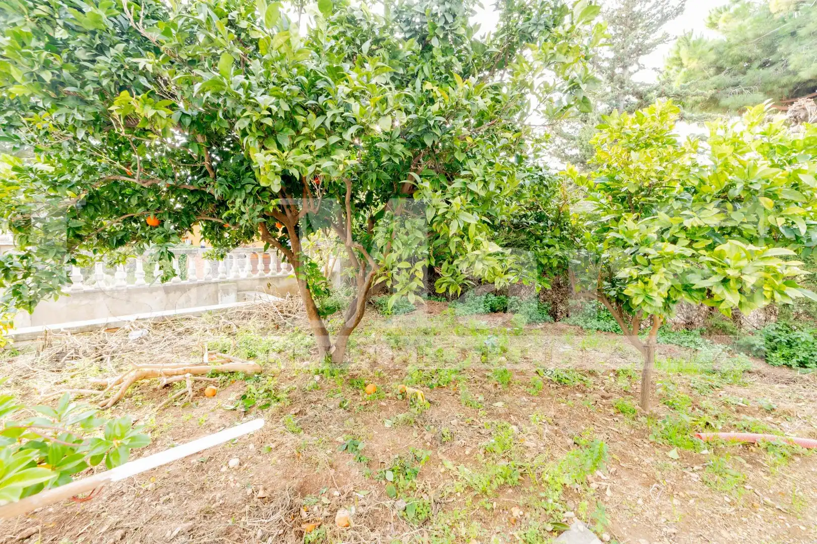 Casa o xalet en venda en Bellvei amb Jardí privat, Terrassa i Piscina