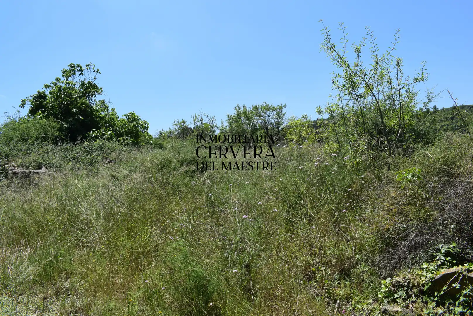 Finca rústica en venta en Xert