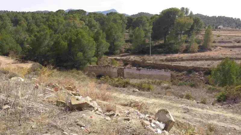 Villa avec jardin à vendre à Fortuna, imagen 59