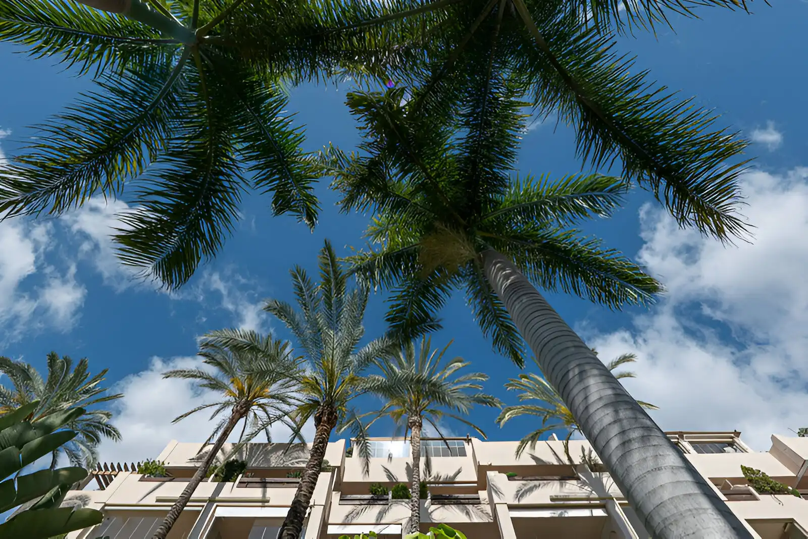 Apartament amb piscina en venda a Benamara - Atalaya, imagen 46