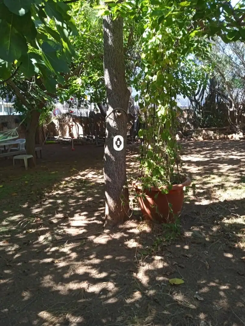 Garten von Residential zum Verkauf in Calvià