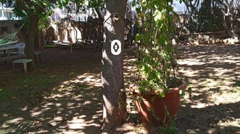 Foto 2 von Residential zum Verkauf in Magaluf, Calvià