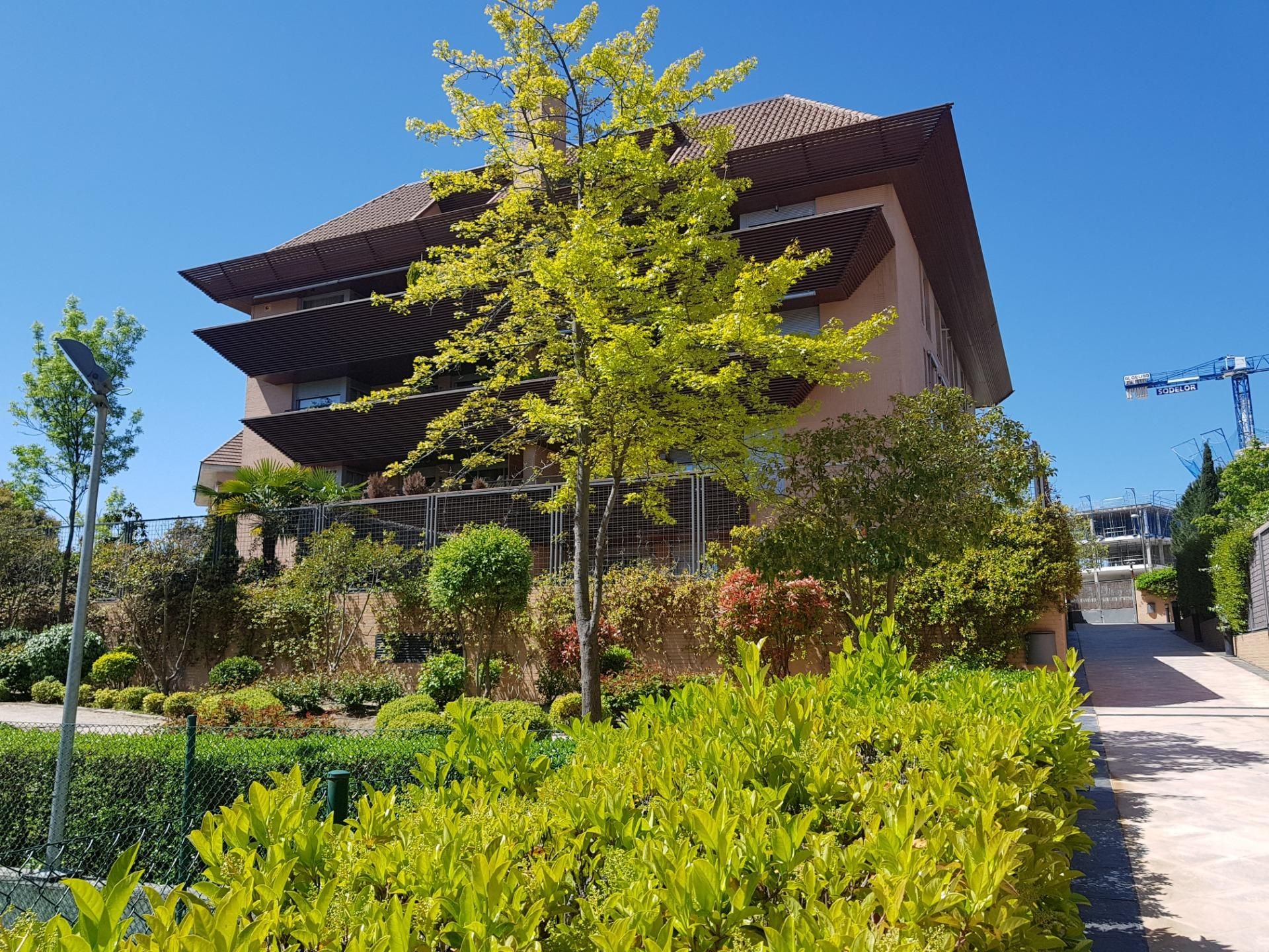 Vista exterior de Pis de lloguer en Boadilla del Monte amb Jardí privat, Terrassa i Traster