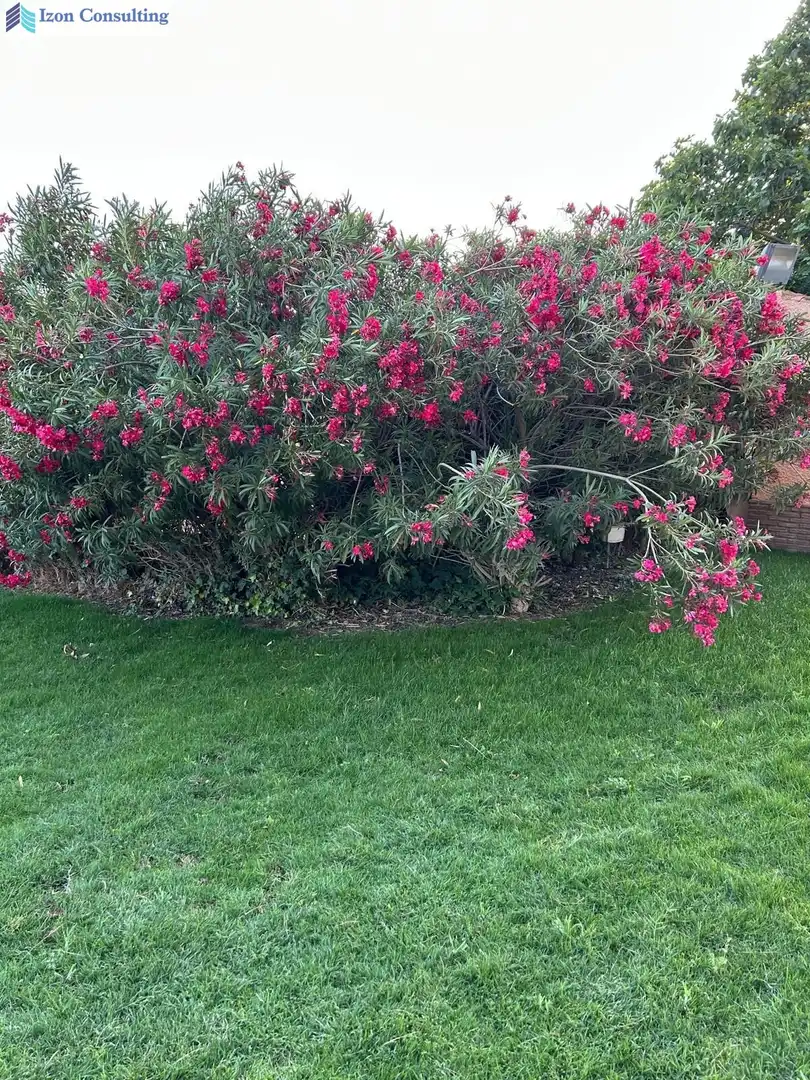 Jardí de Casa o xalet en venda en Villarrobledo amb Aire condicionat, Calefacció i Piscina