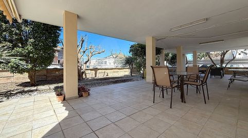 Photo 3 of Houses for sale in Port d'Alcúdia - Platja d'Alcúdia, Alcúdia