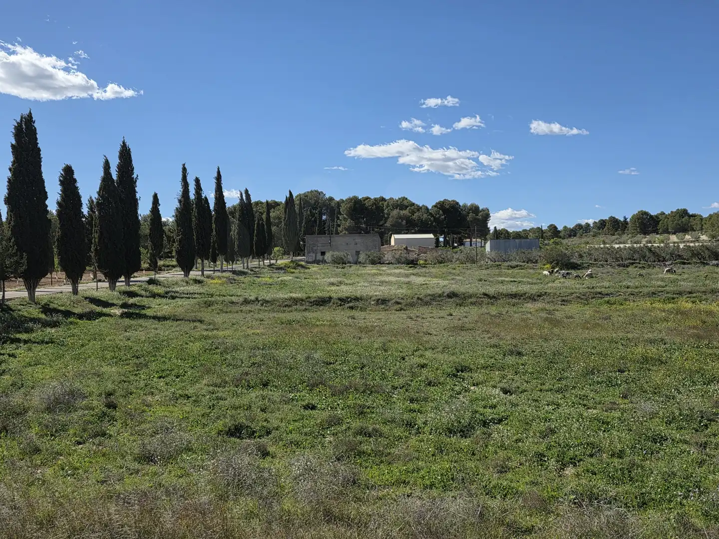 Terreny rústic en venda a Calasparra