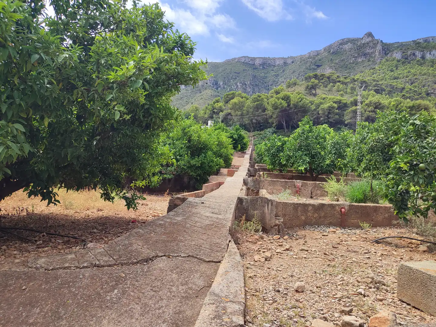 Rural land for sale in Partida de Masalari