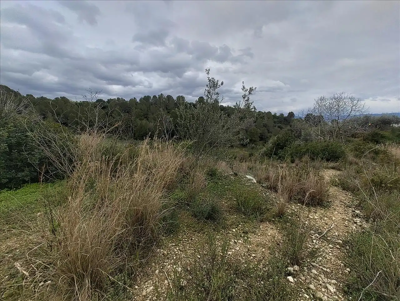 Terreno residencial en venta en Cantalars, Pol.9, Parc. 123(A,B,C Y D) Y Parcela 233. Barranco De Montell, imagen 8