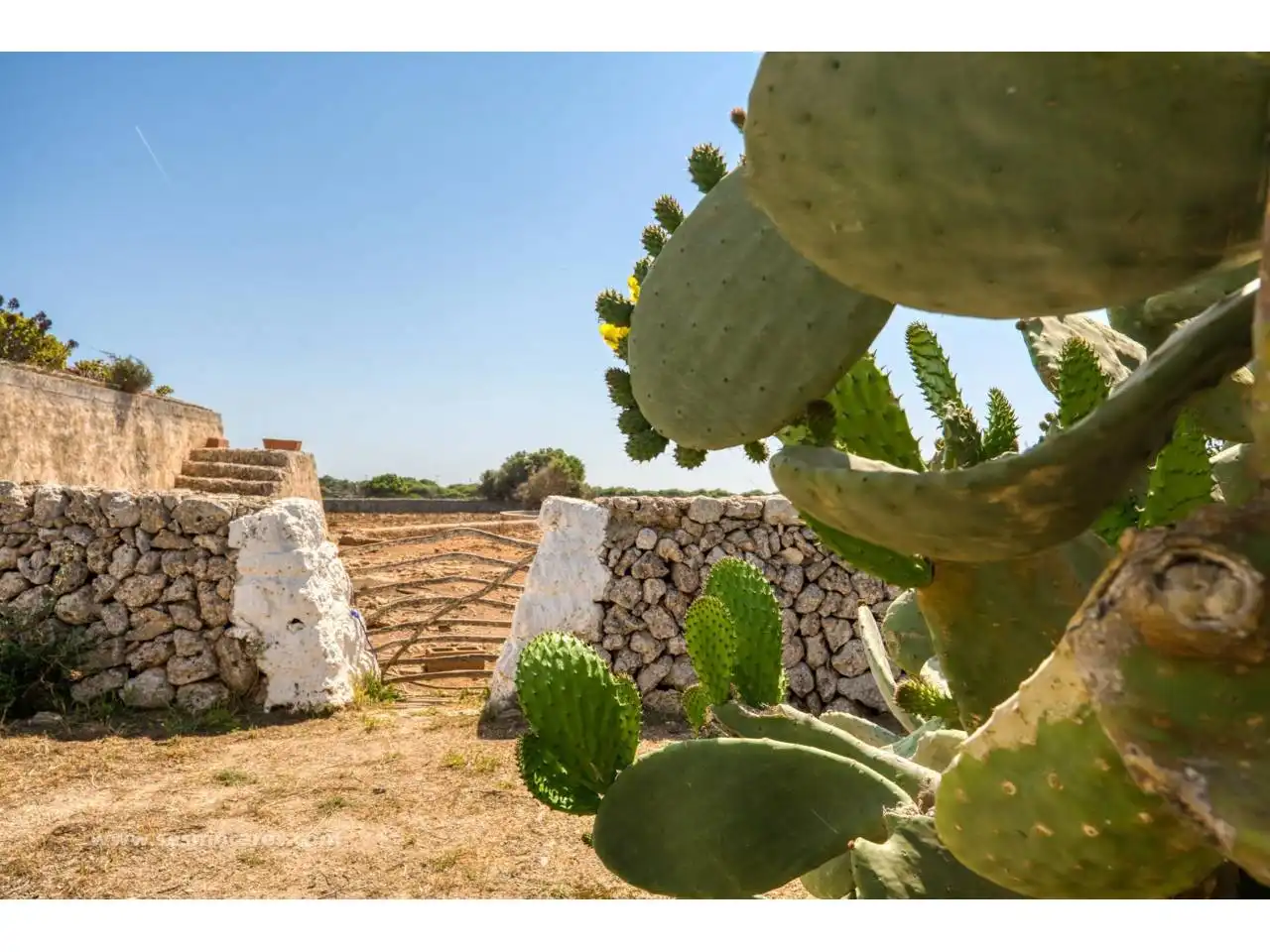 Terreno rustico in vendita a Sant Climent - Es Canutells, imagen 23
