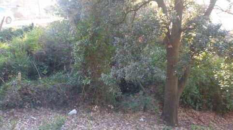 ENTORNO NATURAL Y VISTAS, imatge 3