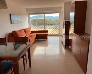 Living room of Flat to rent in Santa Perpètua de Mogoda  with Heating, Terrace and Furnished