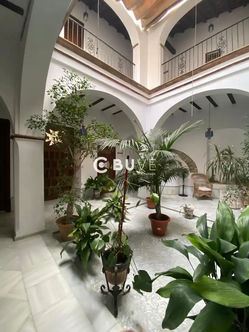 Jardí de Casa o xalet en venda en Lebrija amb Calefacció, Jardí privat i Terrassa