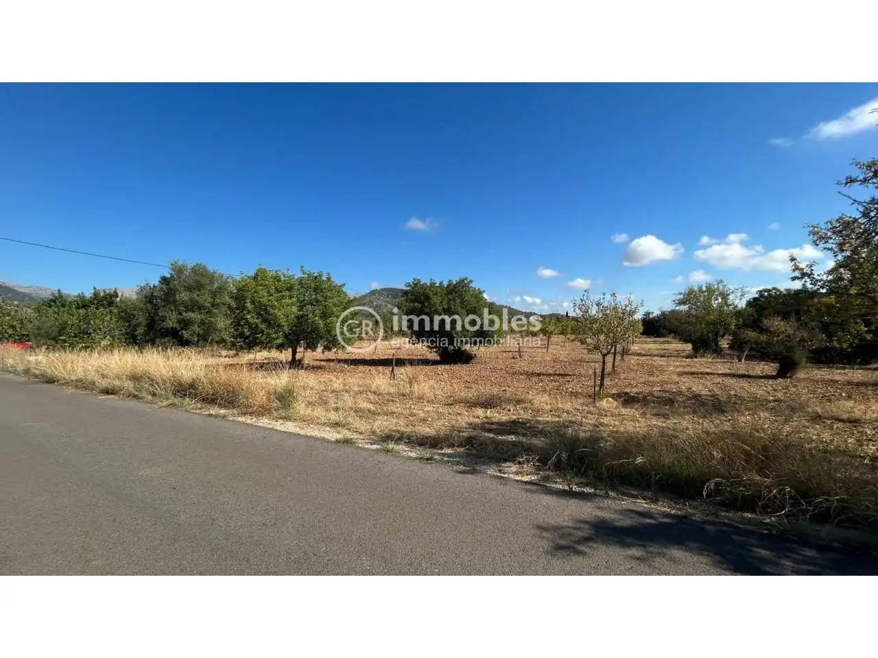 Terreno rustico in vendita a Poligono 14, imagen 10