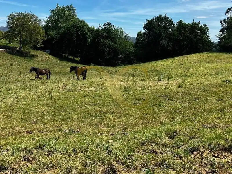 Terrain résidentiel à vendre à Villanueva, imagen 12