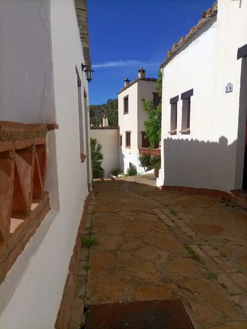 Vista exterior de Apartamento en venta en Alpujarra de la Sierra con Calefacción, Amueblado y Microondas
