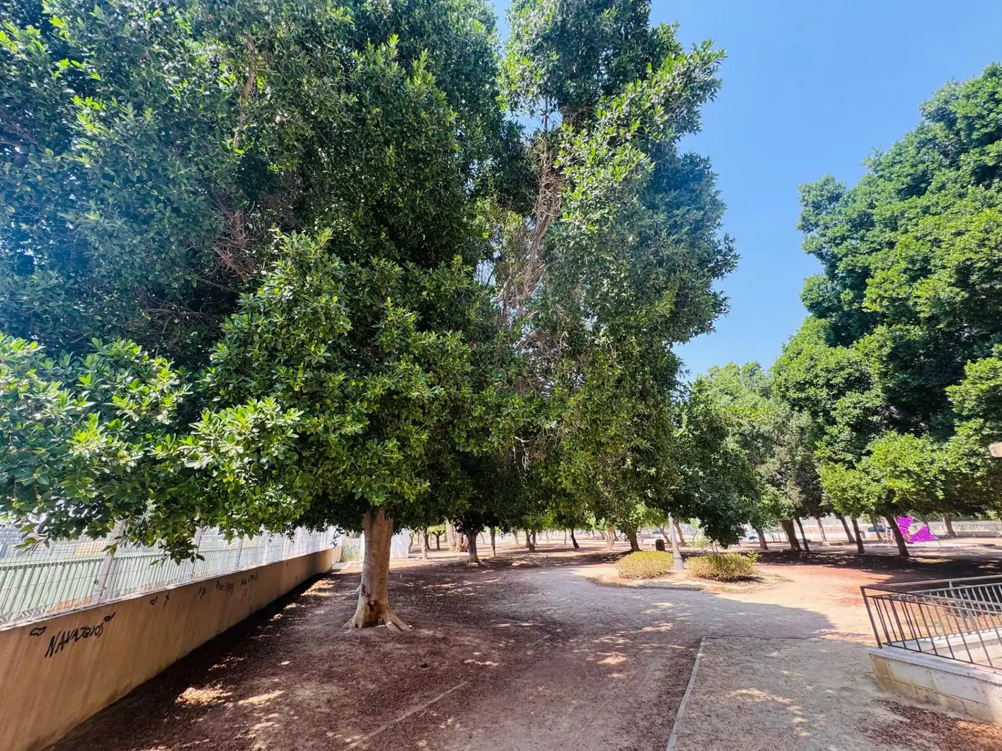 Vista exterior de Piso en venta en Orihuela con Aire acondicionado, Calefacción y Parquet