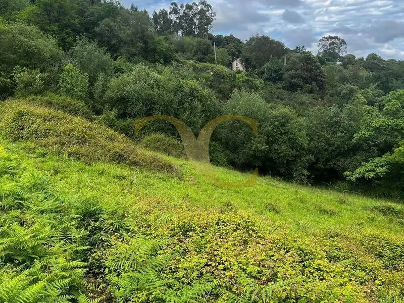 Terreny rústic en venda a Andinas, imagen 6