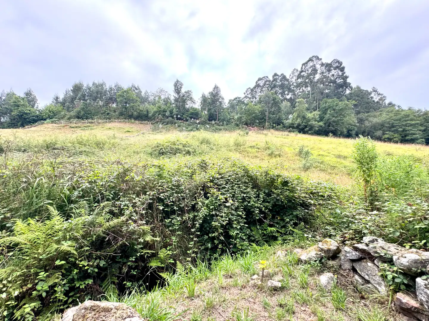 Terreno en venta en Villaviciosa