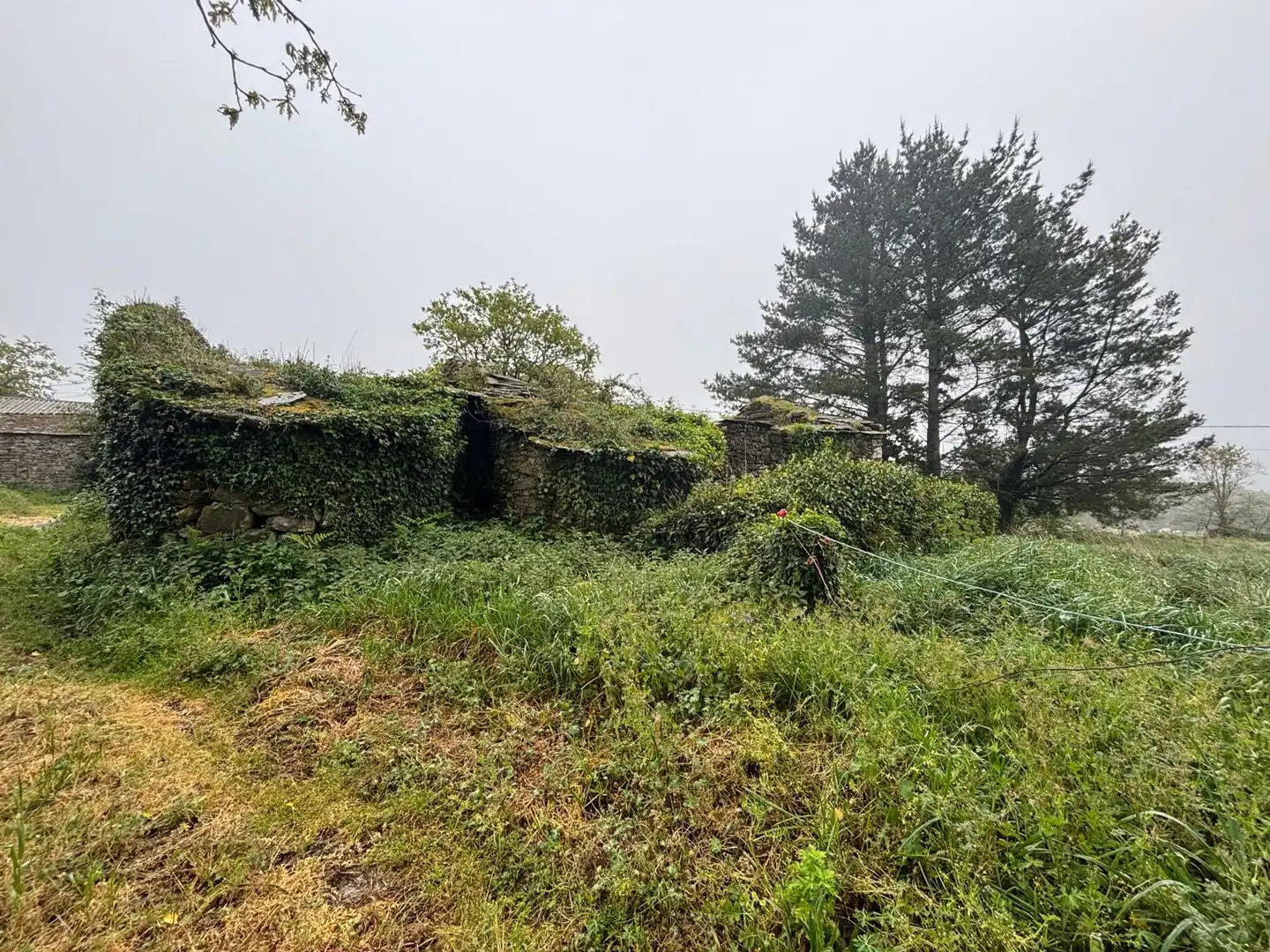 Vista exterior de Finca rústica en venta en Guitiriz