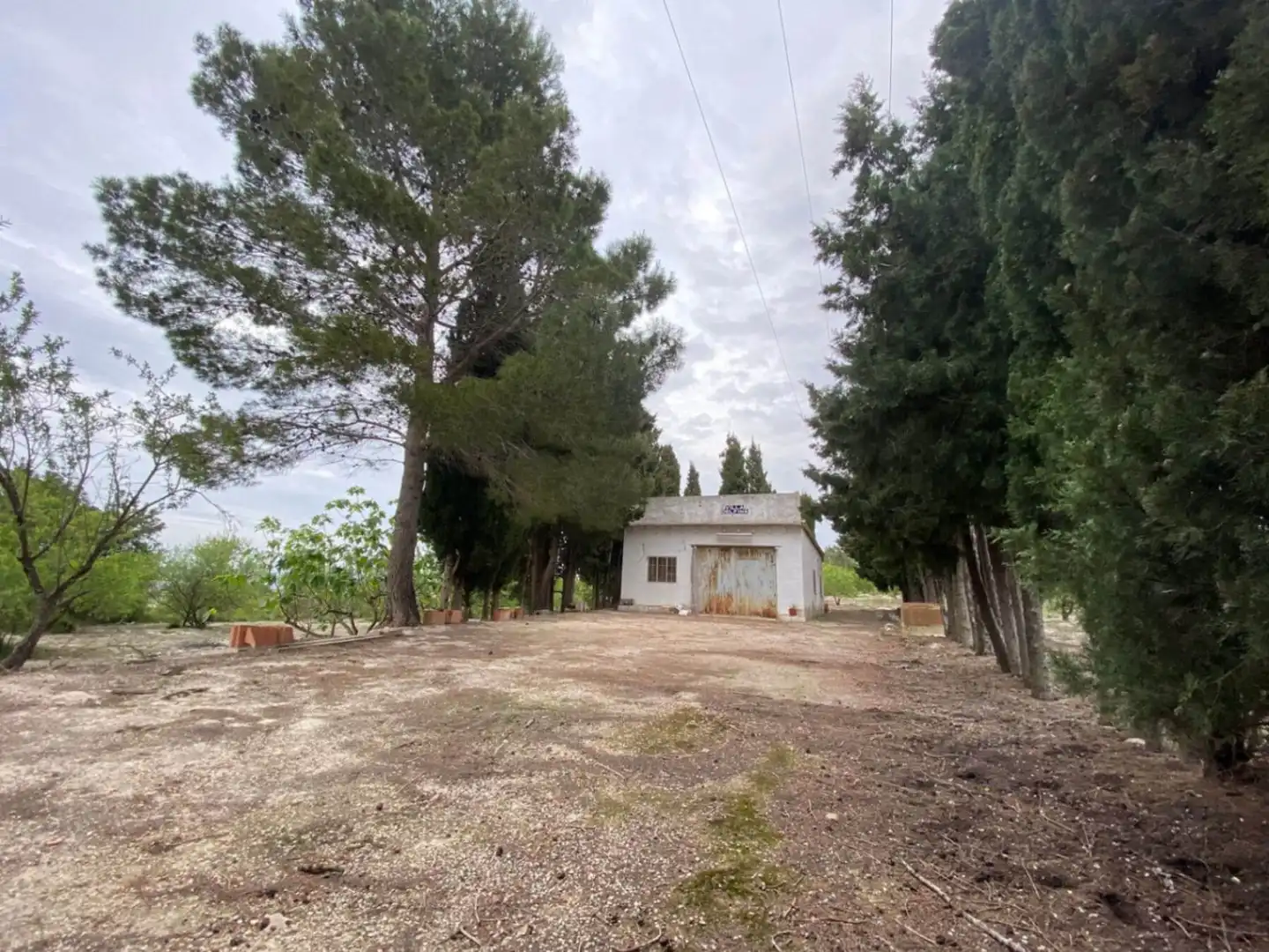 Finca rústica en venda en El Palomar, Valencia