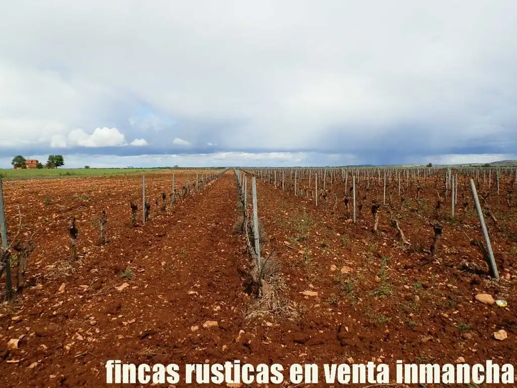 Terreno rustico in vendita a Pozuelo de Calatrava, imagen 12
