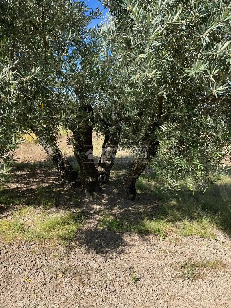 Grundstücke zum Verkauf in Lupión