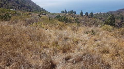 Foto 3 de Terreno en venta en Igueste de Candelaria, Candelaria