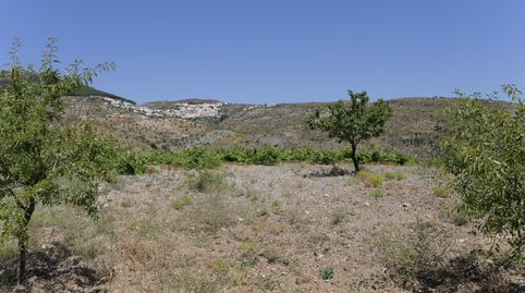 Photo 5 of Land for sale in Calle Antonio Manzano, 19, Murtas, Granada