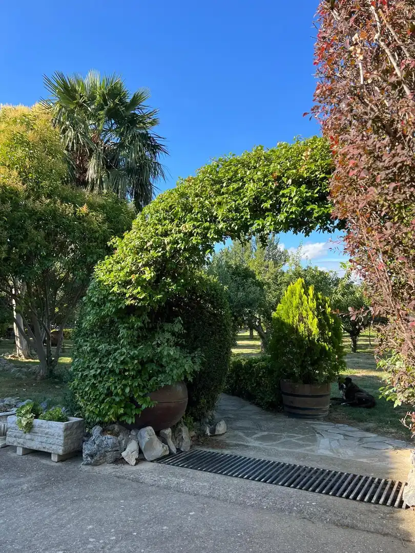 House with pool for sale in CALLE REAL, imagen 14