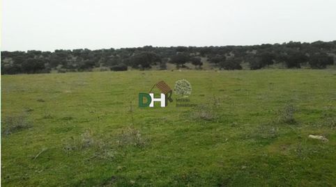 CáceresTerreno, imatge 2