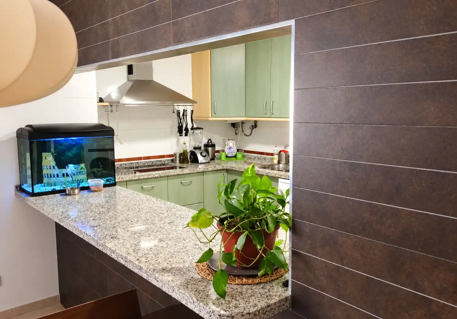 Cocina de Piso de alquiler en Centro