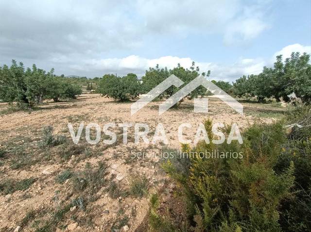 Terreno en Venta en Nueve, -1 en Godelleta