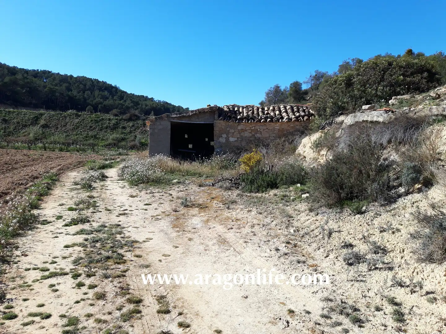 Finca rústica en venta en Nonaspe