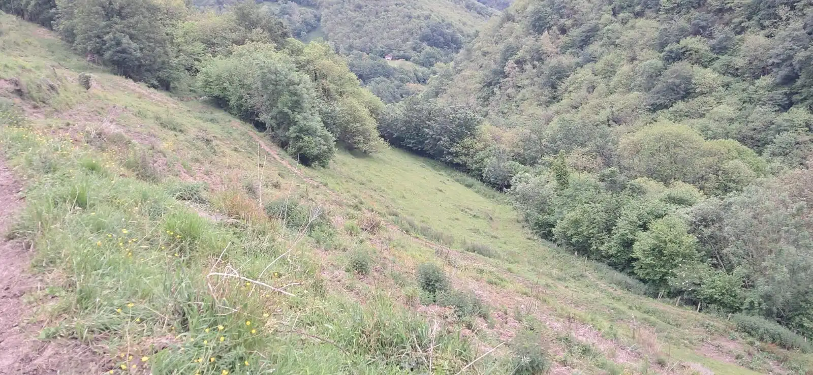 Lands and plots for sale in Lena, imagen 11