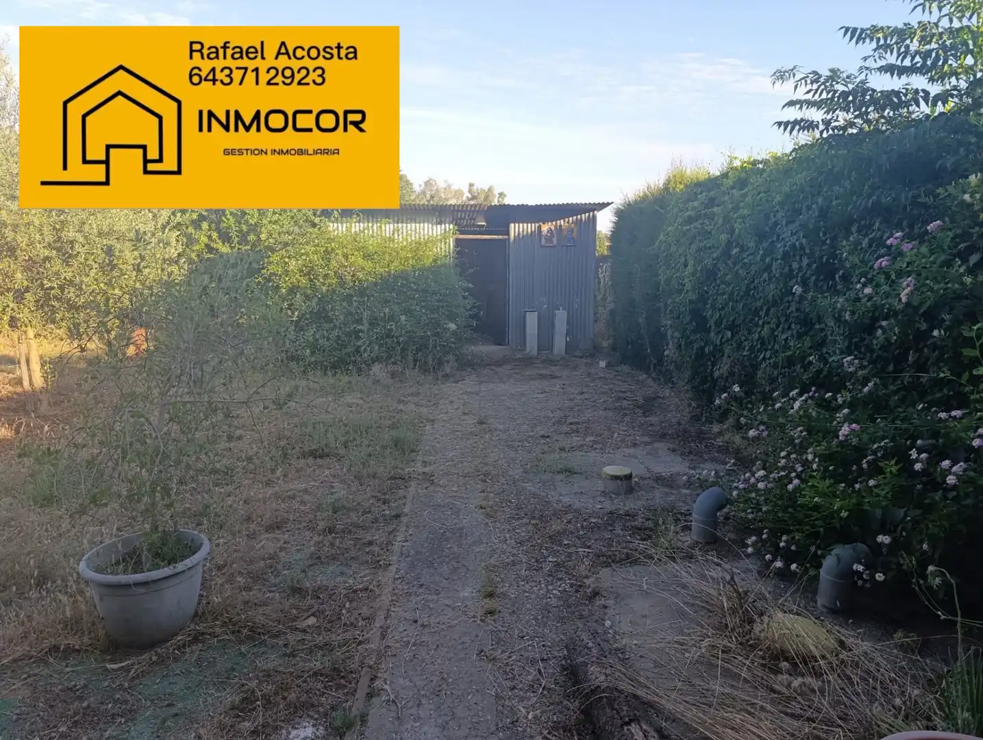 Terreno en venta en Almodóvar del Río