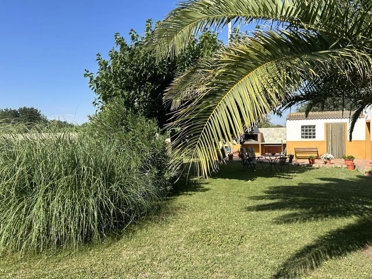 Finca rústica en venta en Galoche, Azucarera