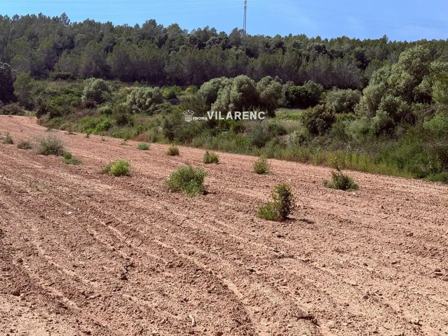 Rural land for sale in Massos de Vespella, imagen 4