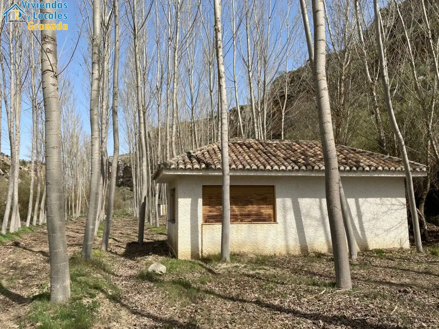 Terreni e lotti in vendita a Alhama de Granada, imagen 43