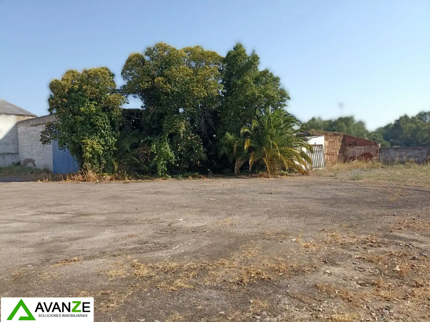 Nave industrielle à vendre à Oeste, imagen 4