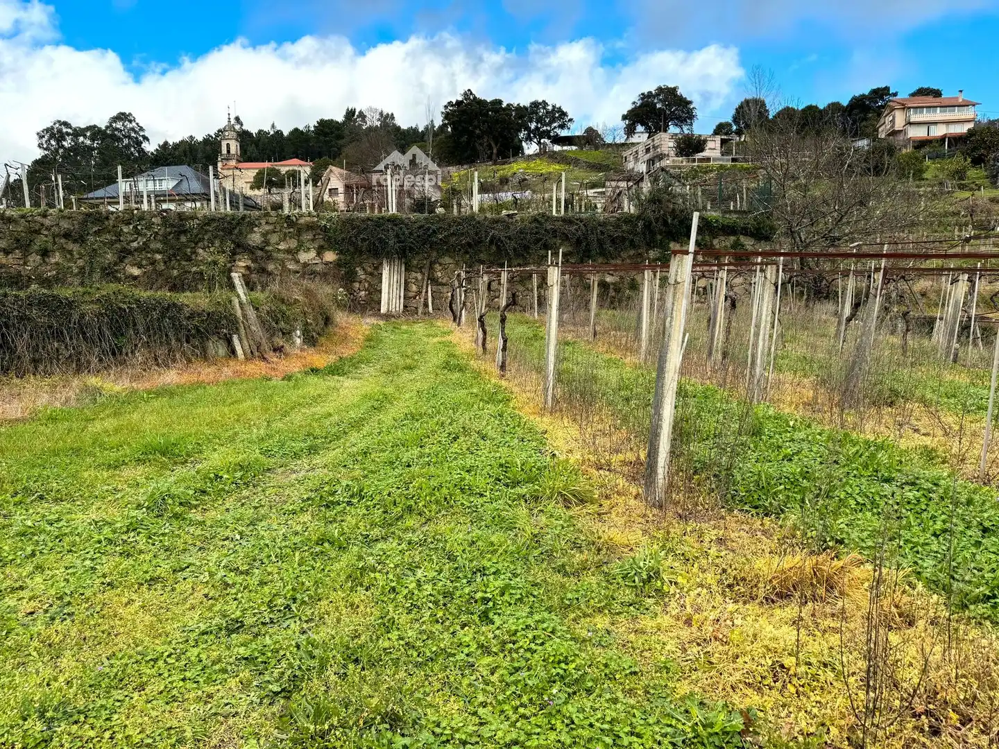 Rural land for sale in Arbo, imagen 30