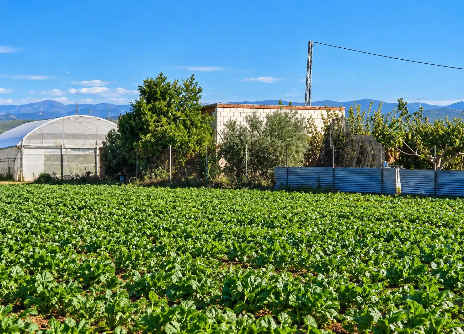 Rural land for sale in Calle el gamonal, imagen 8