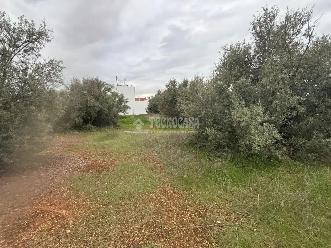 Terreni e lotti in vendita a Atarfe