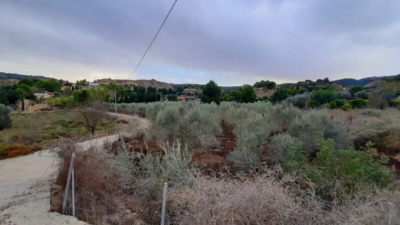 Finca rústica en venda en Murcia amb Terrassa, Traster i Moblat