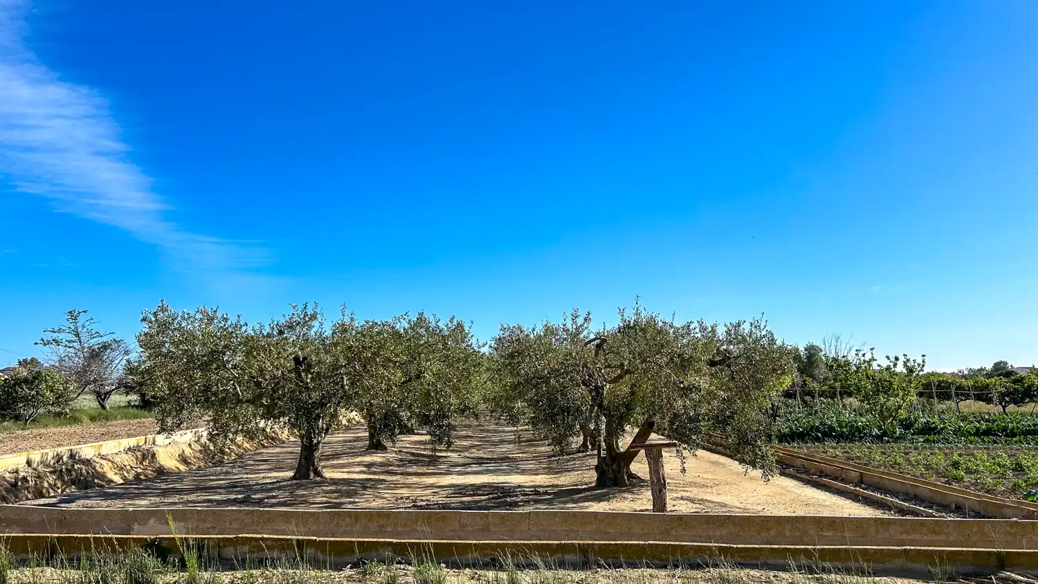 Terreny rústic en venda a Sant Jaume d'Enveja, imagen 11