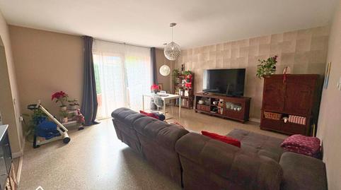 Foto 3 de Planta baixa en venda a  Nou, Canovelles, Barcelona